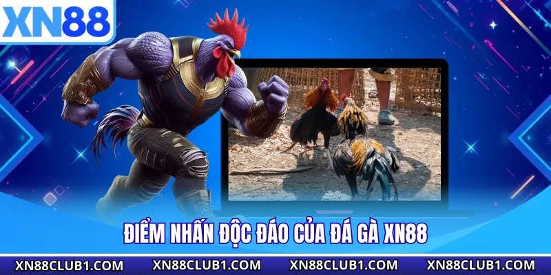 Điểm nhấn độc đáo của đá gà XN88