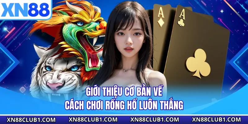 Giới thiệu cơ bản về cách chơi rồng hổ luôn thắng