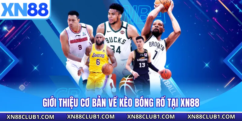 Giới thiệu cơ bản về kèo bóng rổ tại XN88