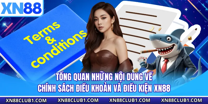Tổng quan những nội dung về chính sách điều khoản và điều kiện XN88